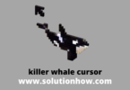 killer whale cursor