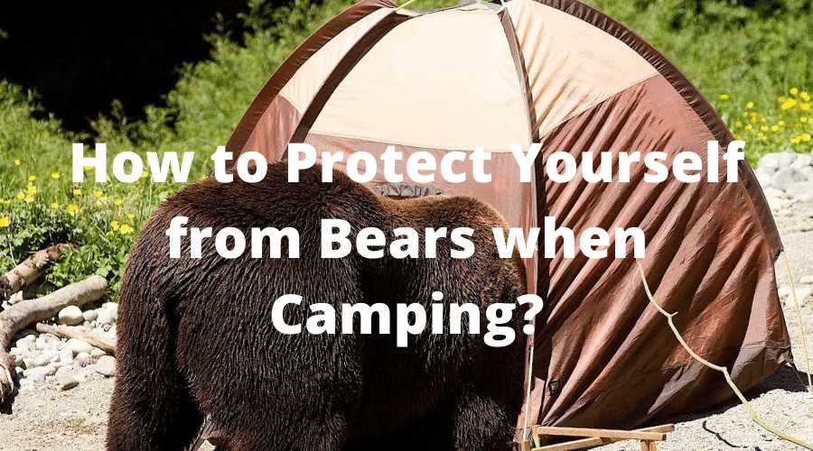 How to Protect Yourself from Bears when Camping?