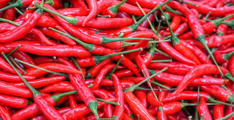 Red hot chili pepper from Calabria