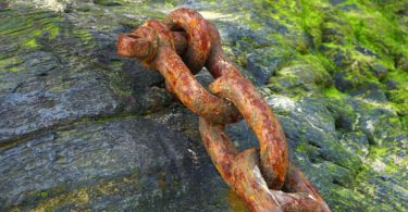 brown chain on rock