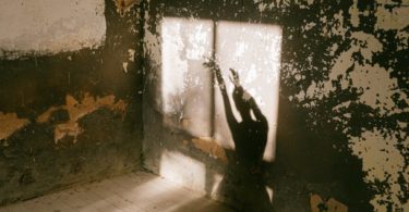 shadow of a person Mold Remediation