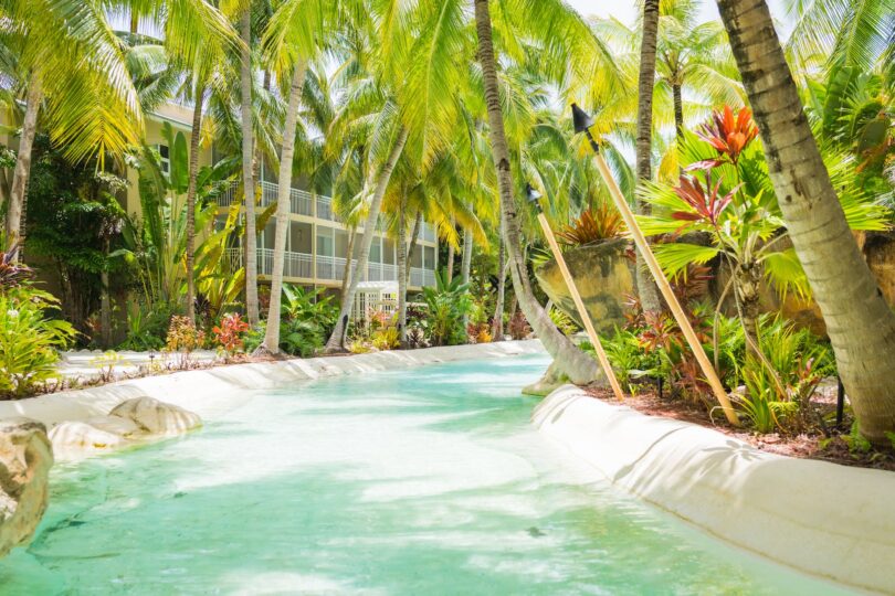 swimming pool between palm trees and plants
