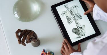 unrecognizable african american scientist studying anatomy with tablet