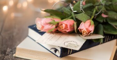 pink rose flowers and book