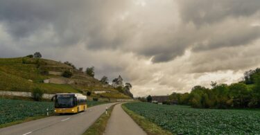a bus on an asphalt road between fields
