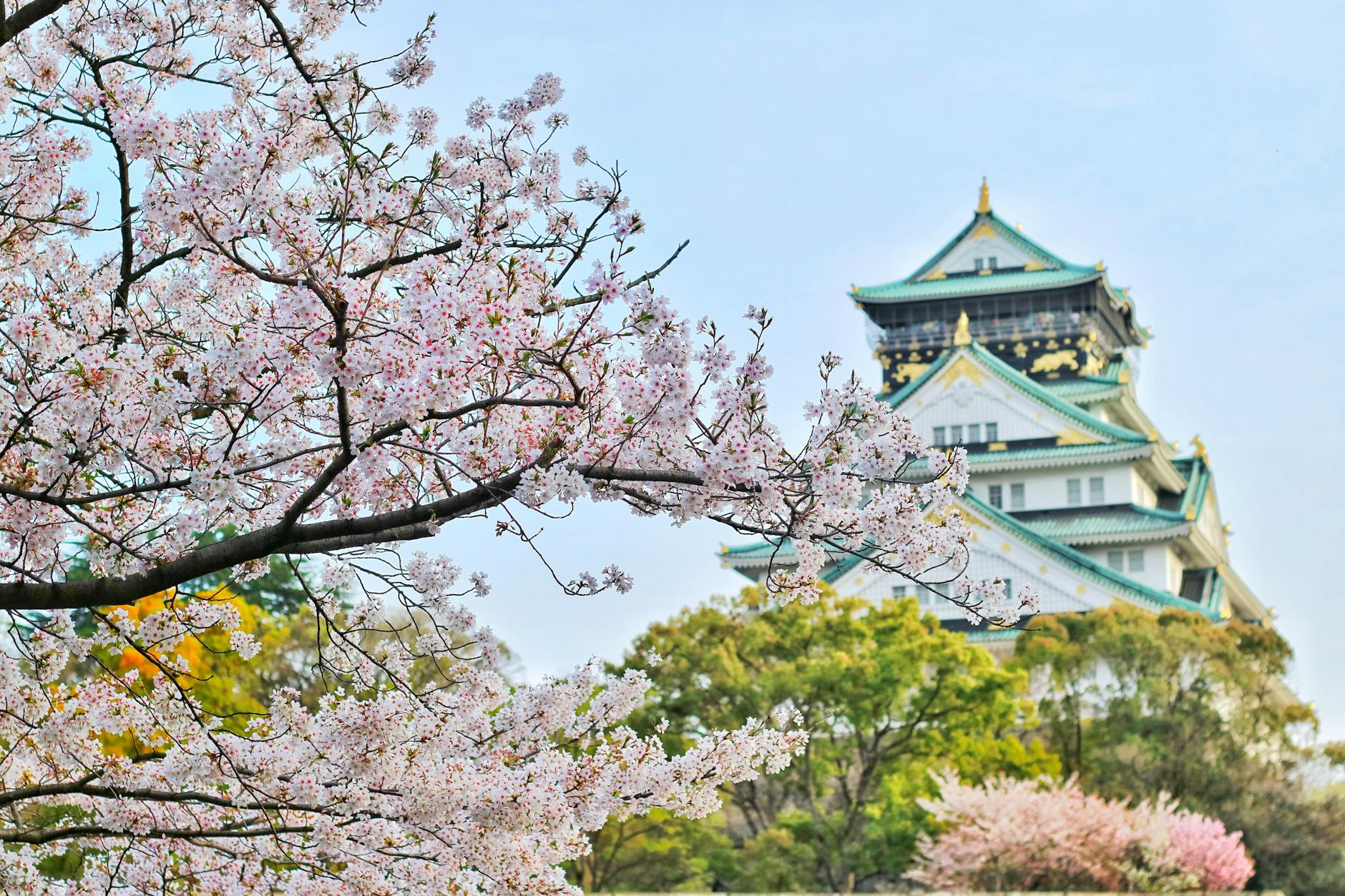 Attractions To See in Osaka