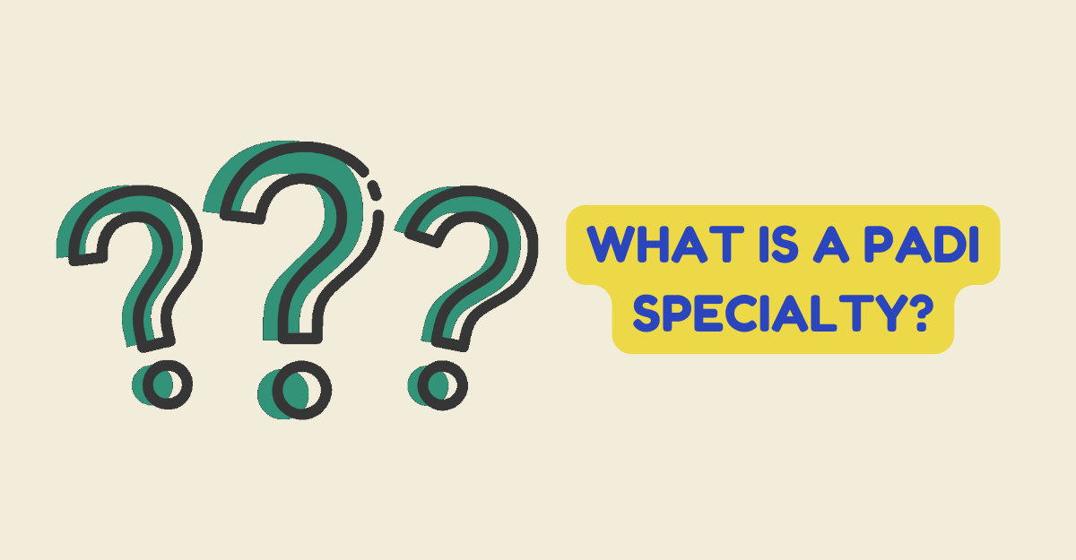 What is a PADI Specialty?